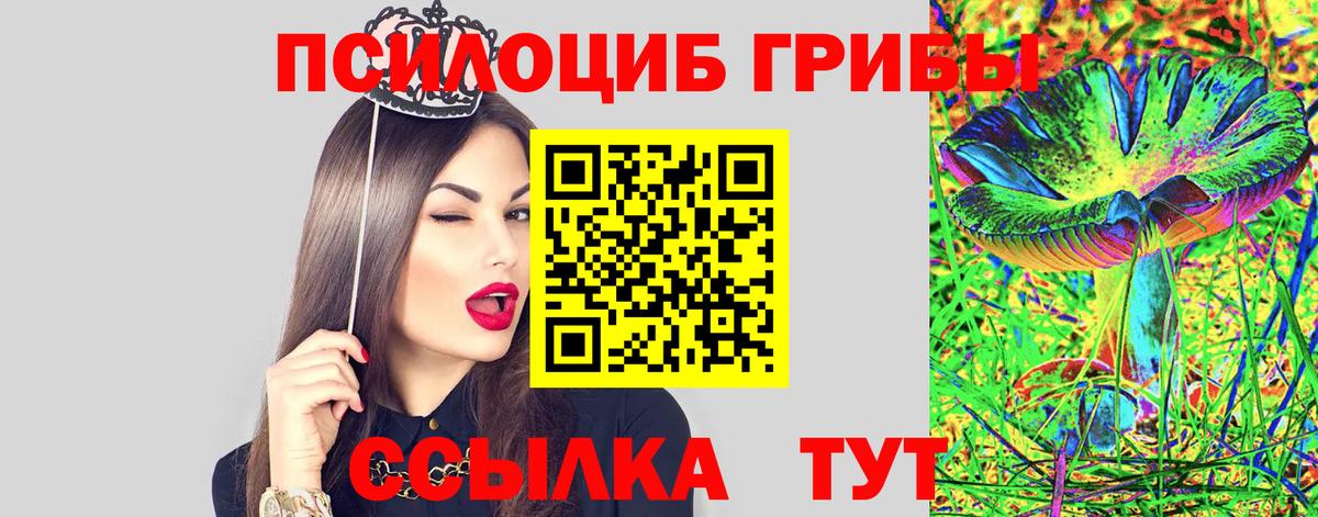 Псилоцибиновые грибы прущие грибы Узловая